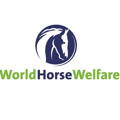 World Horse Welfare